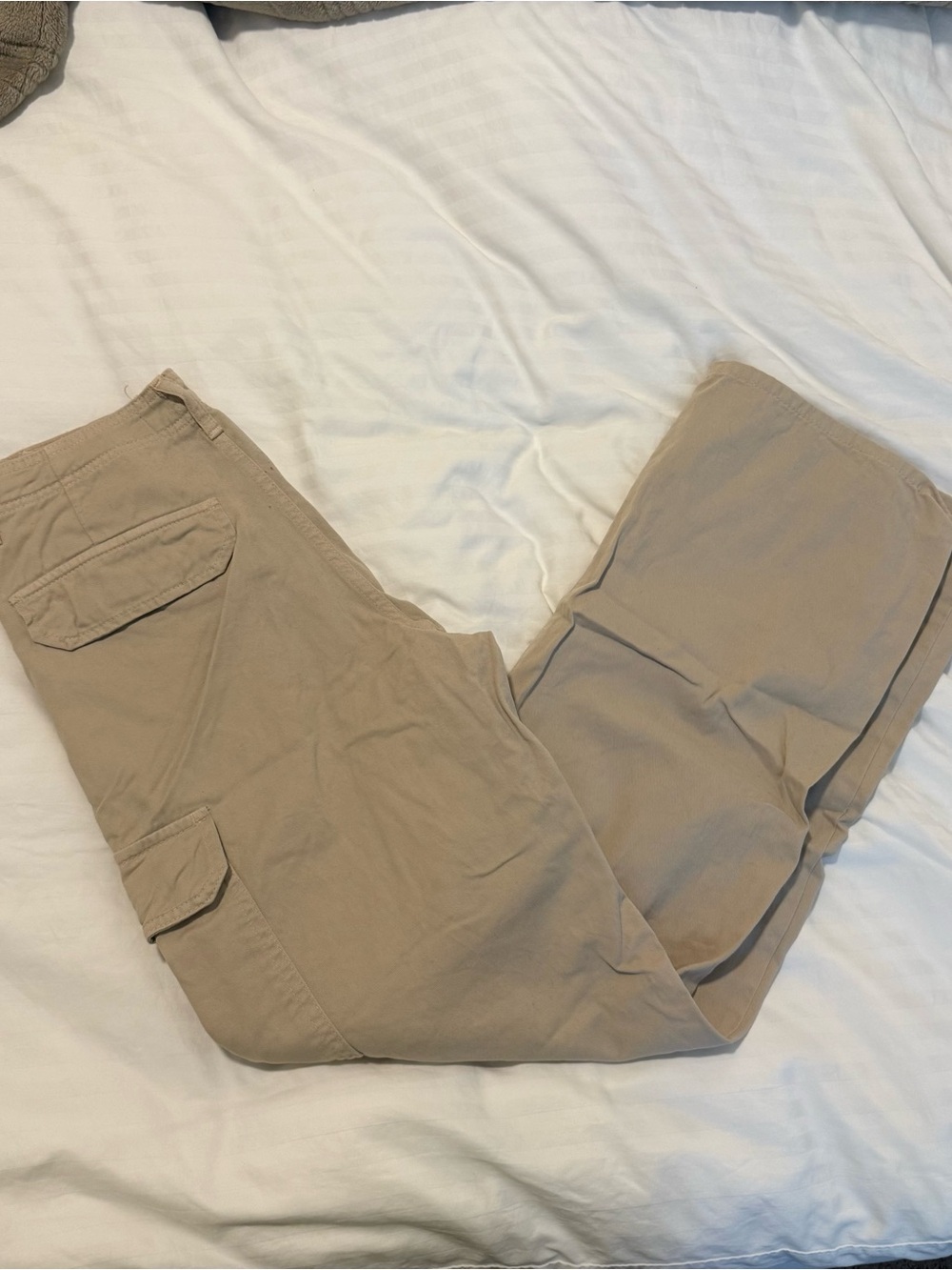 Zara Beige Cargo Pants